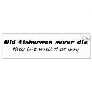 Bumper Stickers Quotes Funny quotes gifts joke bumper