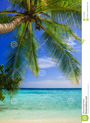 Tropical Paradise Maldives