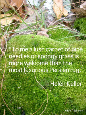 ... Farm for more great gardening inspiration Nature Quotes, Gardens