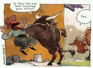 Funny bull cartoon