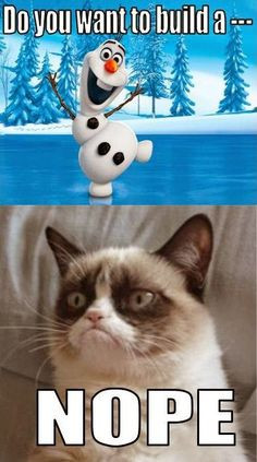 frozen meets grumpy cat more enjoying snow laughing grumpy kitty ...