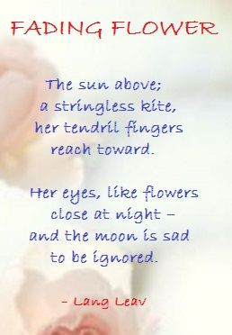 FADING FLOWER ....Lang Leav