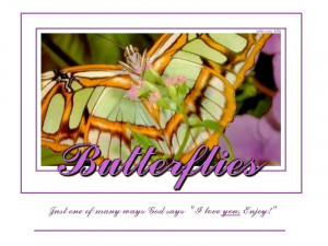 Funny Quotes Contact Dmca