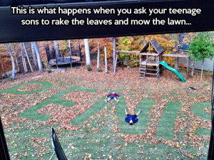 funny-picture-lawn-leaves-teenagers-mowing