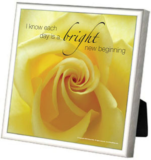 Illuminated Mind Framed...