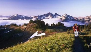 16 Powerful Quotes For Spiritual Growth - David R. Hawkins, M.D., Ph.D ...