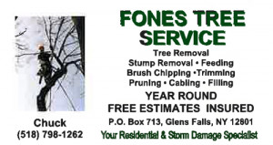 batista yale chemistry