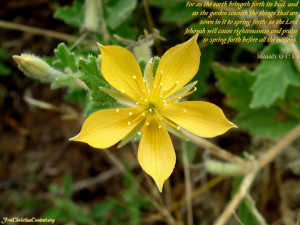 quotes christian nature bible verses with pictures inspirational bible ...