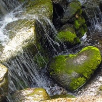 Inspirational quote: Rivers of love