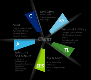 Organizational Structure of Deloitte