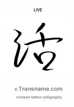 Transname.com - Chinese Tattoo Translation and Calligraphy More