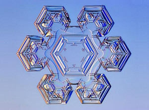 quotes about snowflakes. science of snowflakes: stellar science of ...