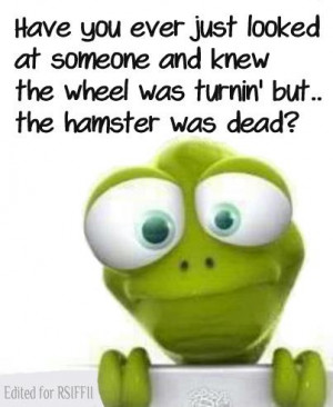 Funny Hamster Wheel Quote - Have you ever just looked at someone and ...