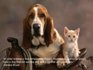 XOXO Life is sometimes boring. Have you ever felt that something ...