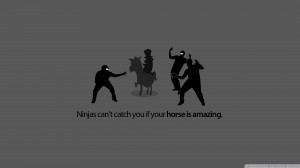 Funny Ninjas Wallpaper 1920x1080 Funny, Ninjas
