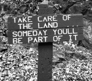 nature quotes | Tumblr