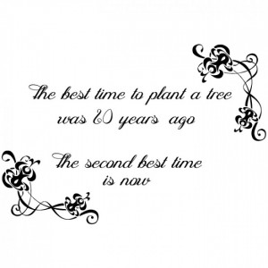 The best time to plant a tree Wall Sticker Inspirational Quotes Wall ...