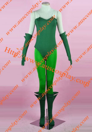 Batman Poison Ivy Costume Poison Ivy Cosplay Outfit