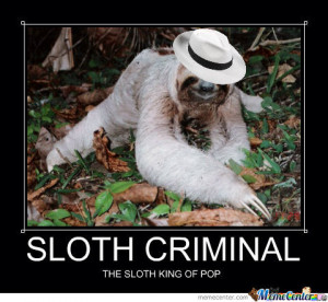 Sloth Criminal Meme...