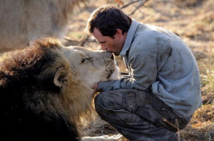 Man and lions – friends