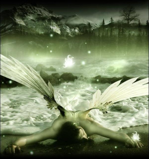 Beautiful-Fallen-Angel-fallen-angels-12571335-603-645.jpg