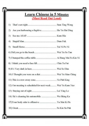 LEARN CHINESE IN 5 MINUTES . . .