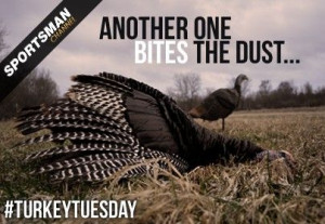 Turkey Hunting @Julia Clevenger yes..immediately thought of you!: Life ...