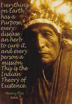 Native American Pride