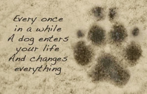 Famous Dog Quotes for All who Love Dog