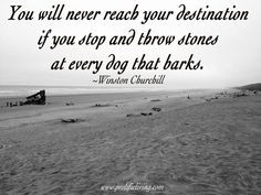 Quote - You will never reach you destination if you stop and throw ...