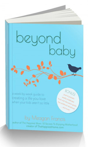 Beyond Baby: A guide to creating a life you love when your kids aren't ...