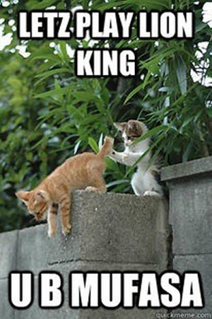 years ago animals cats demotivational dogs gifs hippos lions memes ...