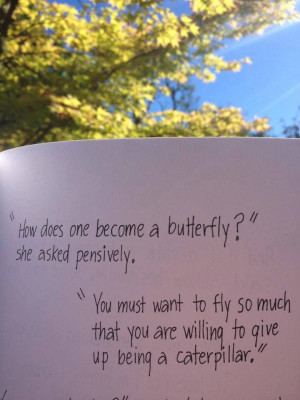 ... become a butterfly? -- From 