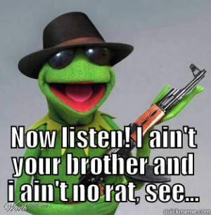 Not Timmy the mouse, kermit the frog gangsta - NOW LISTEN! I AIN'T ...