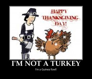 thanksgiving pictures, happy thanksgiving pictures, funny thanksgiving ...