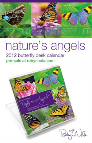 Inspirational-Gift-Idea-2012-Butterfly-Calendar-Inspirational-Quotes ...