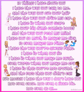 10 Things I hate About You Poem Image