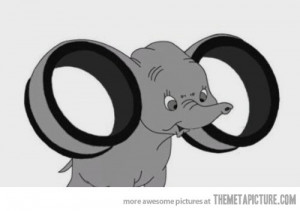 Funny photos funny Dumbo big ears