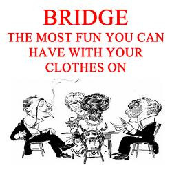 computer game fun bridge computer game fun bridge