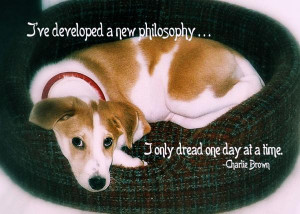 Sweet Puppy Quote Print by JAMART Photography