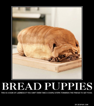 Demotivational Posters Cats...