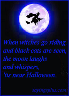 Halloween Sayings Quotes...