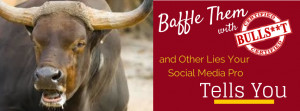 Baffle Them With BullSh*t & Other Lies Your Social Media Pro Tells You