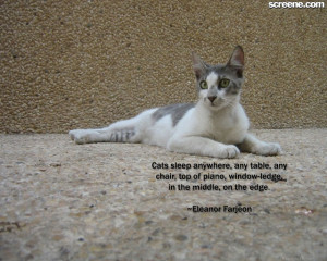 Email This BlogThis! Share to Twitter Share to Facebook Share to ...