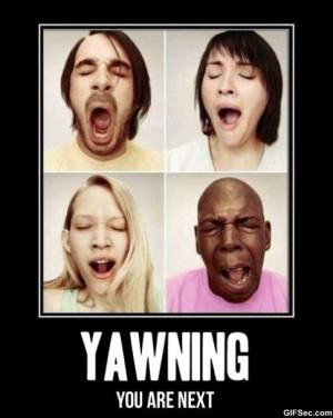Yawning.jpg