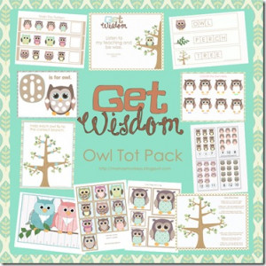 Download a free Owl Tot Pack from Our Little Monkeys.