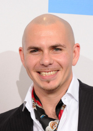 Pitbull Singer Pitbull poses in the press room during the 2010 ...