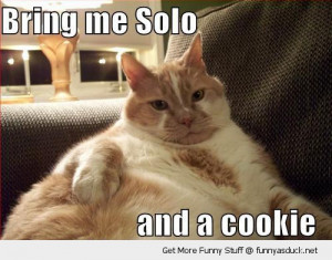 fat cat jabba han solo wookie star wars animal funny pics pictures pic ...