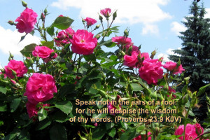 Bible Versed in Scenic Natural Flowers Wallpaper