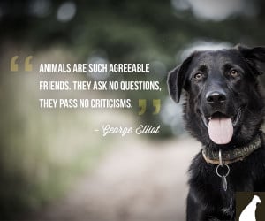 Loyal Dog Quotes George elliot dog quote